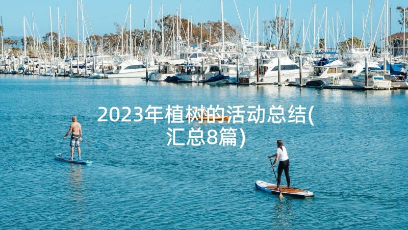 2023年植树的活动总结(汇总8篇)