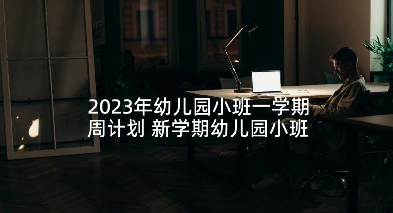 2023年幼儿园小班一学期周计划 新学期幼儿园小班周计划(模板9篇)