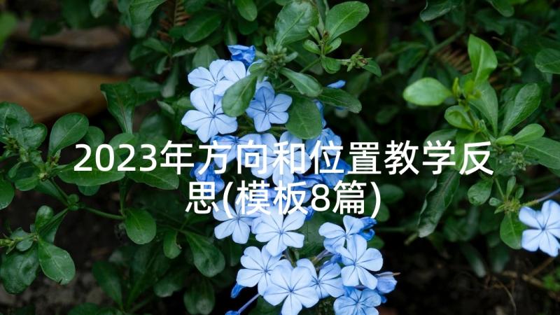 2023年方向和位置教学反思(模板8篇)