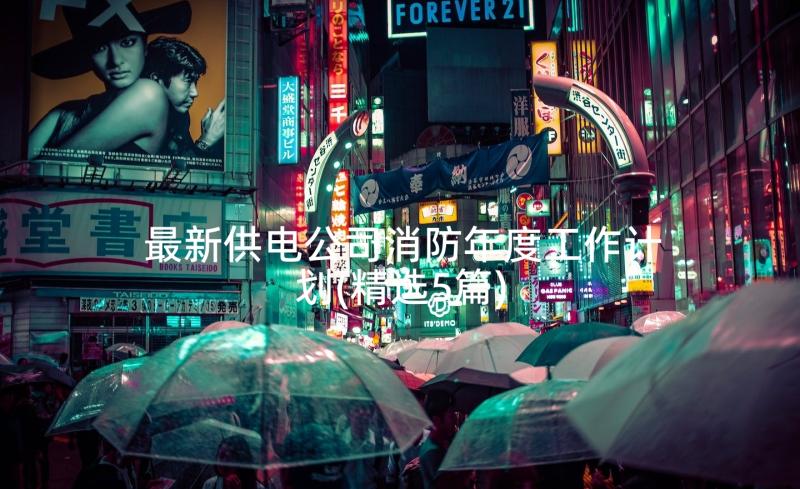 最新供电公司消防年度工作计划(精选5篇)