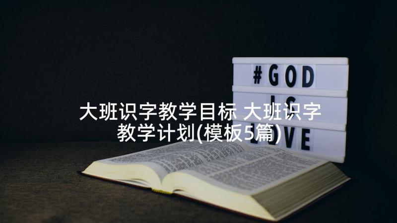 大班识字教学目标 大班识字教学计划(模板5篇)