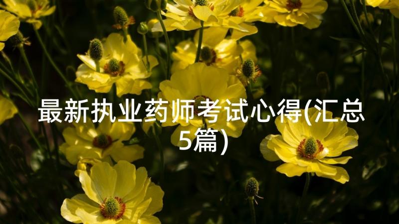 最新执业药师考试心得(汇总5篇)