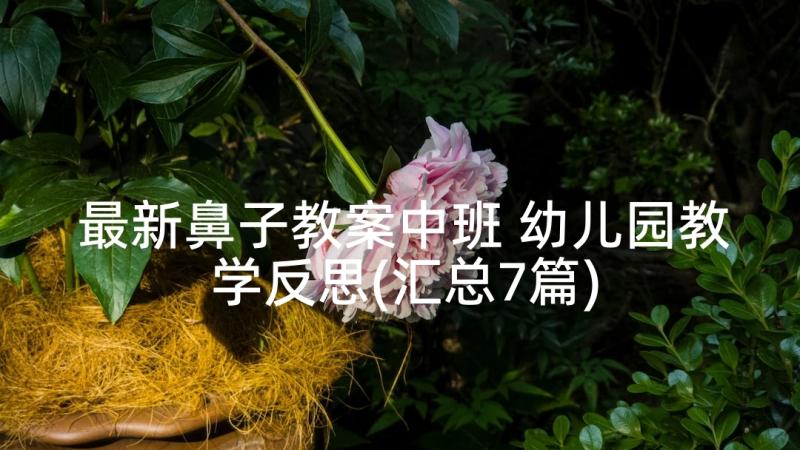 最新鼻子教案中班 幼儿园教学反思(汇总7篇)