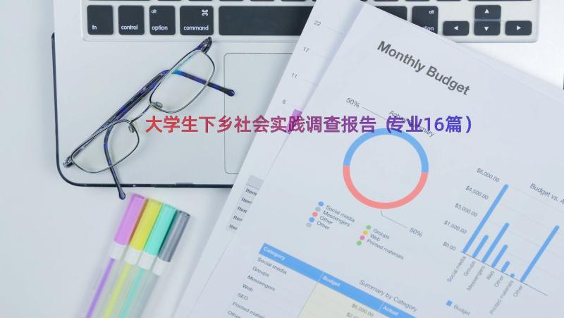 大学生下乡社会实践调查报告（专业16篇）