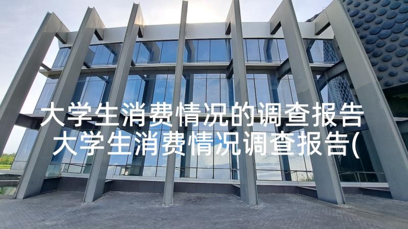 大学生消费情况的调查报告 大学生消费情况调查报告(模板9篇)