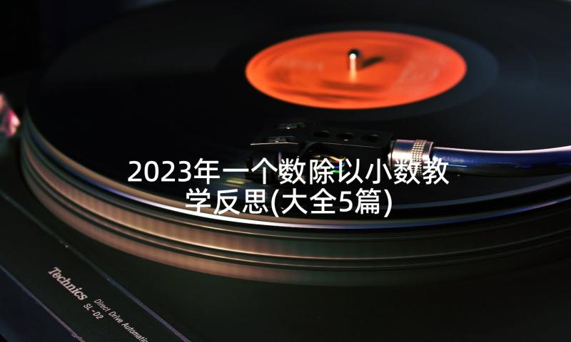 2023年一个数除以小数教学反思(大全5篇)