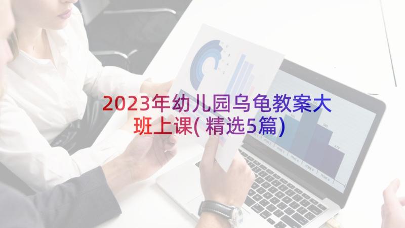 2023年幼儿园乌龟教案大班上课(精选5篇)