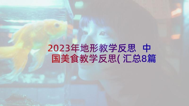 2023年地形教学反思 中国美食教学反思(汇总8篇)