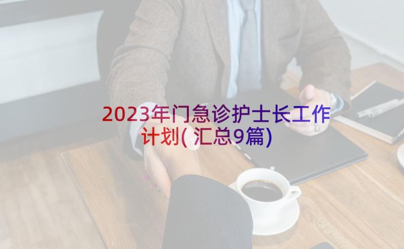 2023年门急诊护士长工作计划(汇总9篇)