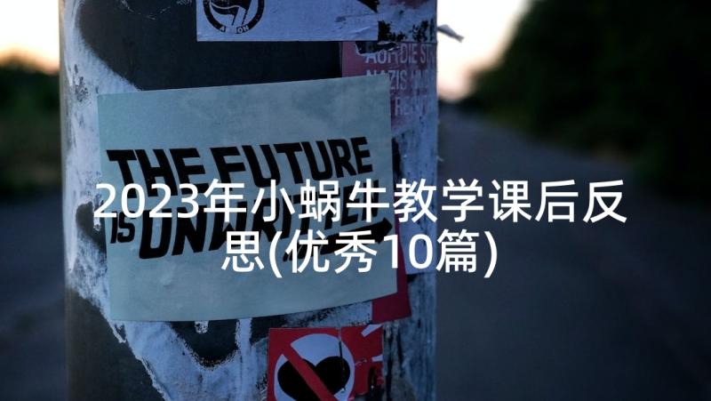 2023年小蜗牛教学课后反思(优秀10篇)