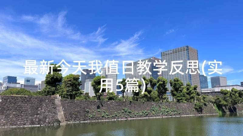 最新今天我值日教学反思(实用5篇)