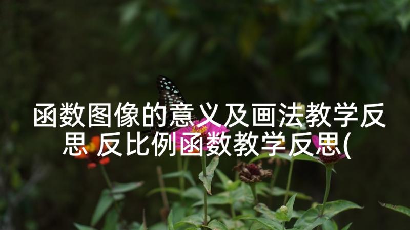 函数图像的意义及画法教学反思 反比例函数教学反思(优秀5篇)