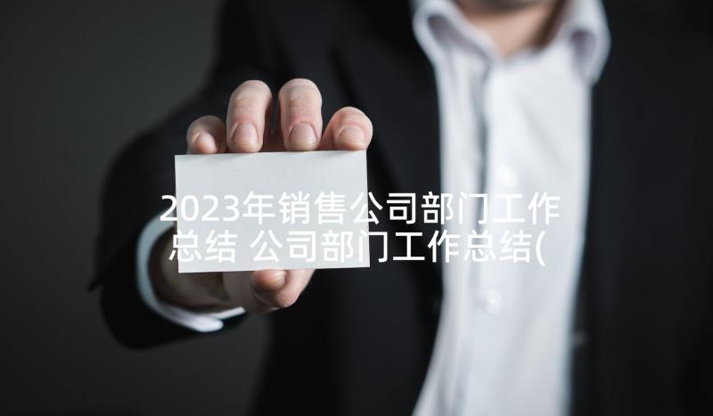 2023年销售公司部门工作总结 公司部门工作总结(大全5篇)