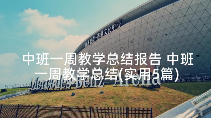 中班一周教学总结报告 中班一周教学总结(实用5篇)