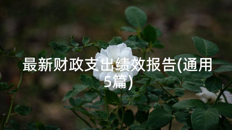 最新财政支出绩效报告(通用5篇)