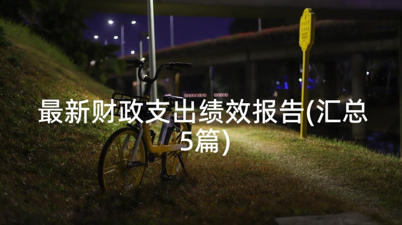 最新财政支出绩效报告(汇总5篇)