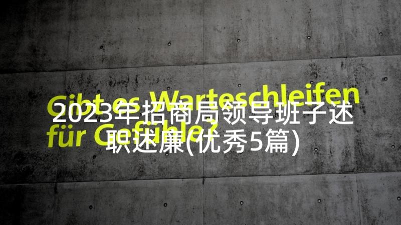 2023年招商局领导班子述职述廉(优秀5篇)