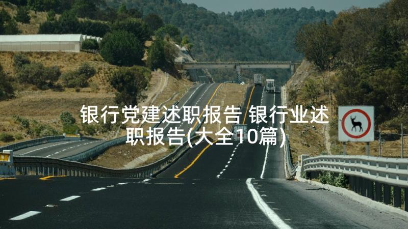 银行党建述职报告 银行业述职报告(大全10篇)