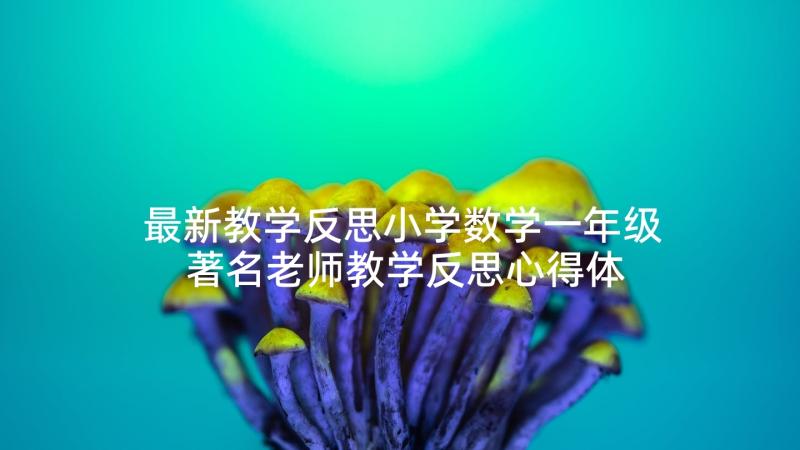 最新教学反思小学数学一年级 著名老师教学反思心得体会(实用5篇)