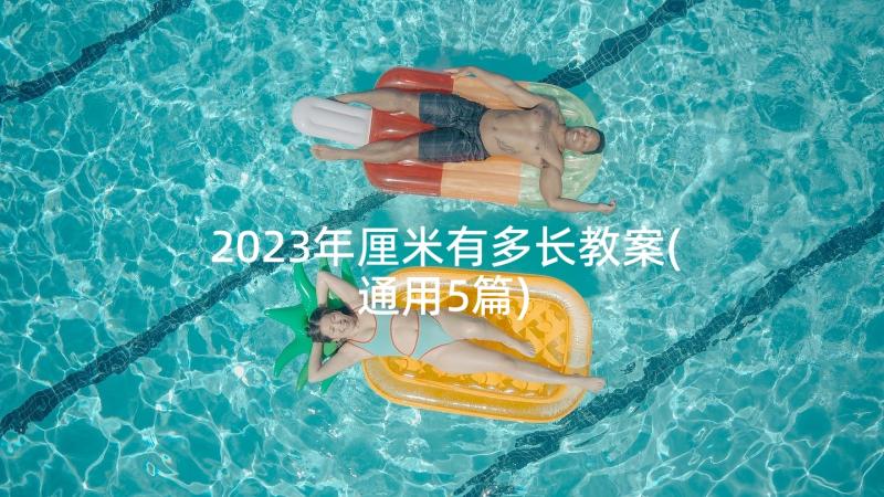 2023年厘米有多长教案(通用5篇)