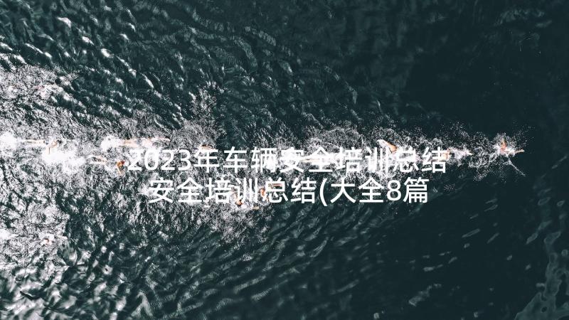 2023年车辆安全培训总结 安全培训总结(大全8篇)