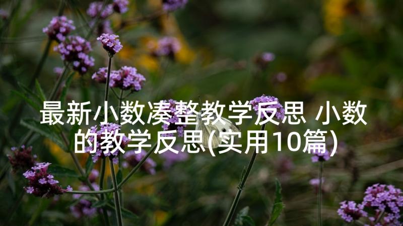 最新小数凑整教学反思 小数的教学反思(实用10篇)