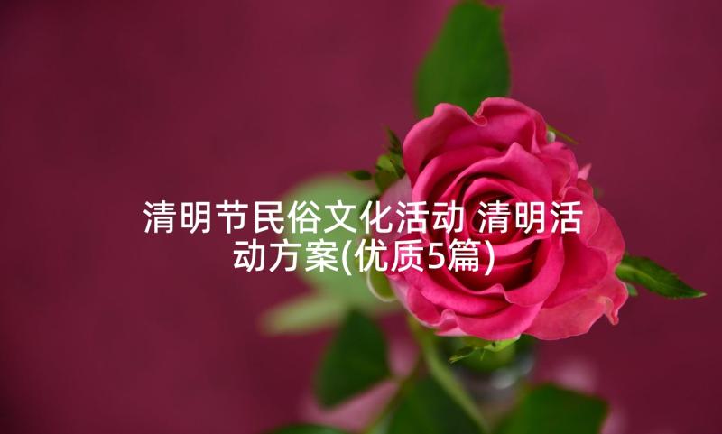 清明节民俗文化活动 清明活动方案(优质5篇)