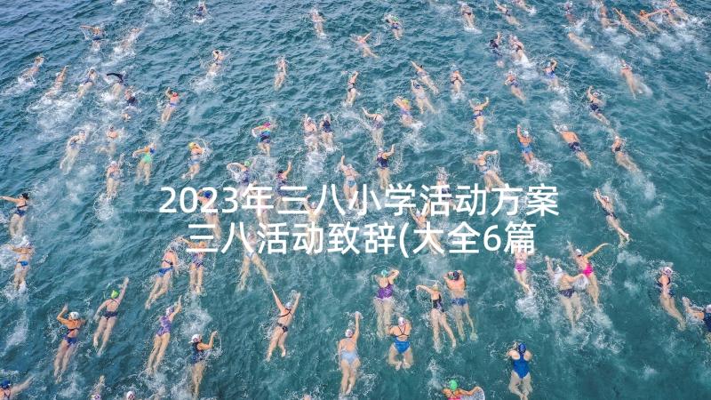 2023年三八小学活动方案 三八活动致辞(大全6篇)