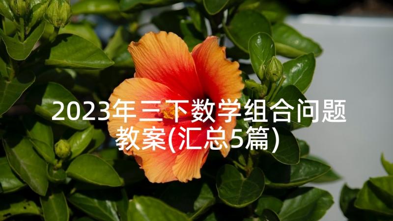 2023年三下数学组合问题教案(汇总5篇)