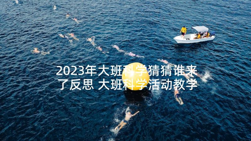 2023年大班科学猜猜谁来了反思 大班科学活动教学反思(通用5篇)