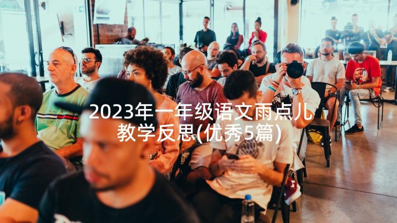 2023年一年级语文雨点儿教学反思(优秀5篇)