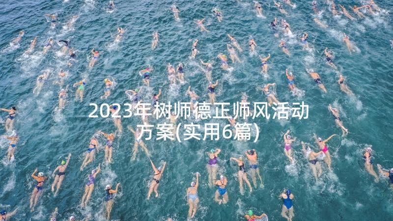 2023年树师德正师风活动方案(实用6篇)