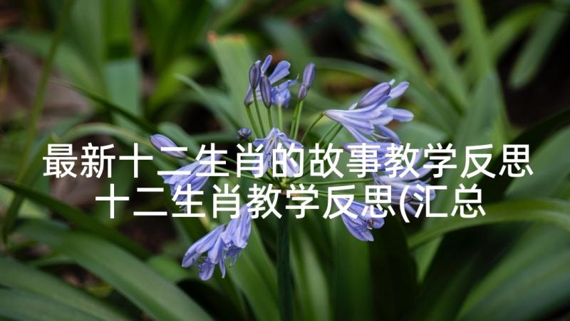 最新十二生肖的故事教学反思 十二生肖教学反思(汇总6篇)