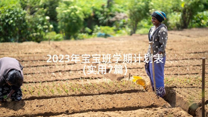 2023年宝宝班学期计划表(实用7篇)