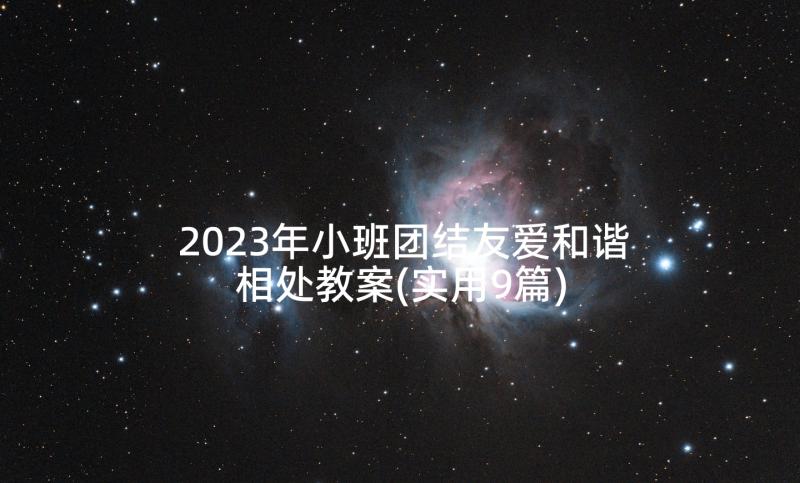 2023年小班团结友爱和谐相处教案(实用9篇)