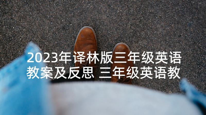 2023年译林版三年级英语教案及反思 三年级英语教学反思(精选9篇)