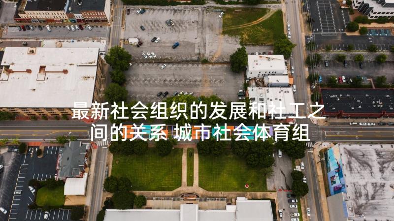 最新社会组织的发展和社工之间的关系 城市社会体育组织构建发展研究论文(大全5篇)