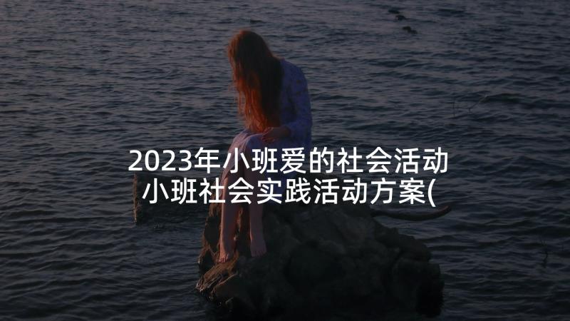 2023年小班爱的社会活动 小班社会实践活动方案(优秀5篇)