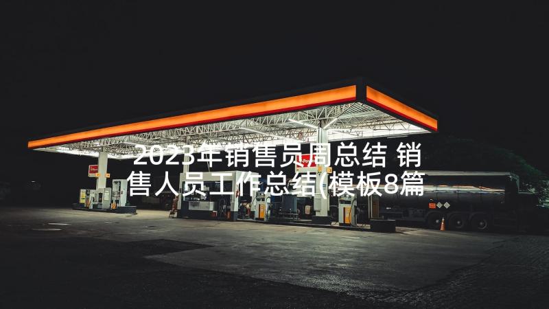 2023年销售员周总结 销售人员工作总结(模板8篇)