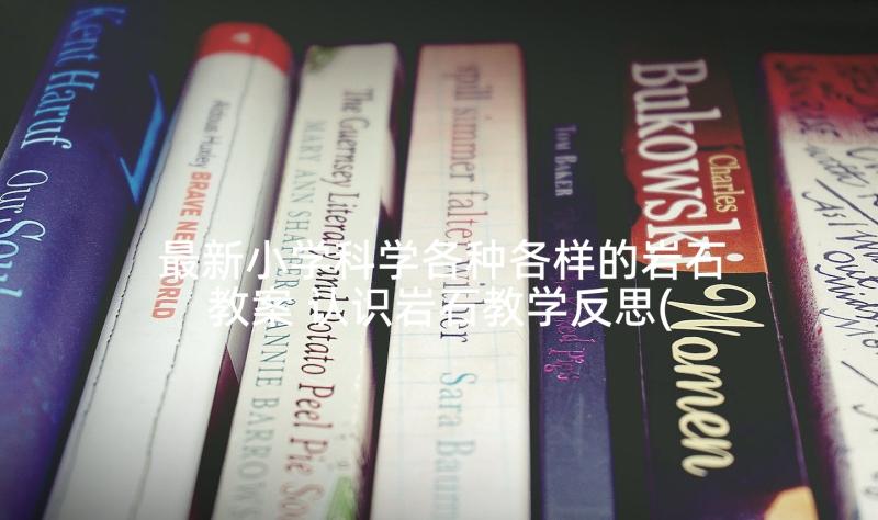 最新小学科学各种各样的岩石教案 认识岩石教学反思(汇总5篇)