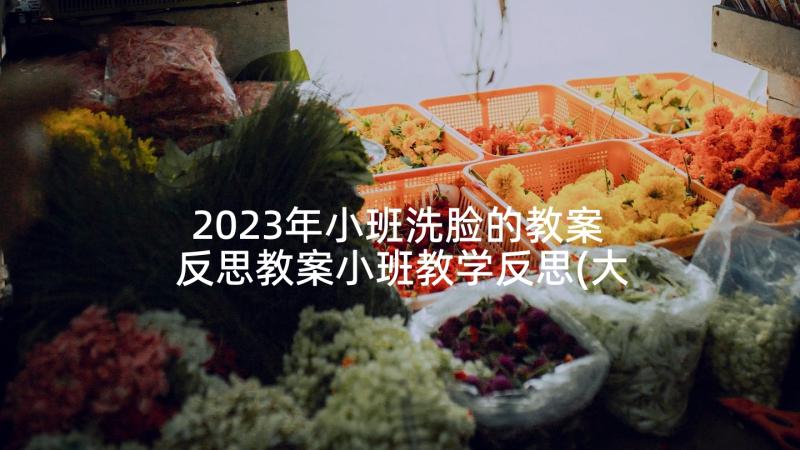 2023年小班洗脸的教案 反思教案小班教学反思(大全6篇)