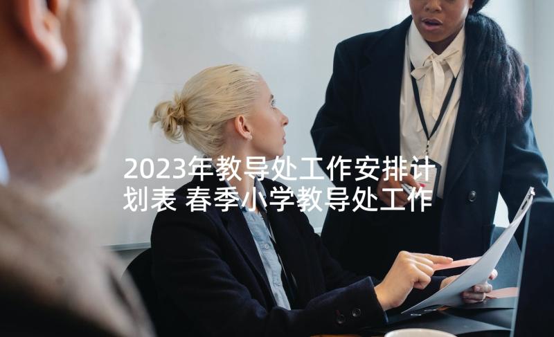 2023年教导处工作安排计划表 春季小学教导处工作计划(优秀5篇)