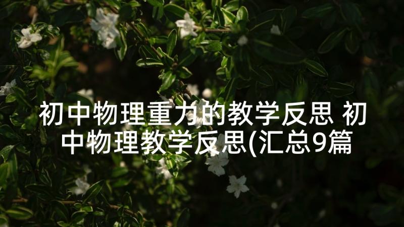 初中物理重力的教学反思 初中物理教学反思(汇总9篇)