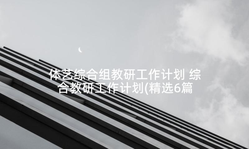 体艺综合组教研工作计划 综合教研工作计划(精选6篇)