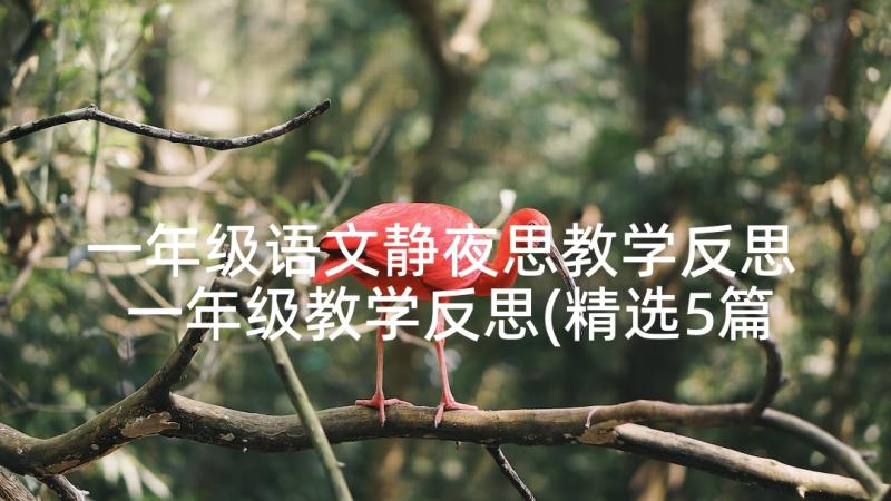 一年级语文静夜思教学反思 一年级教学反思(精选5篇)