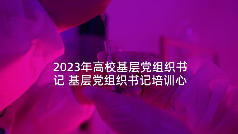 2023年高校基层党组织书记 基层党组织书记培训心得体会(模板6篇)