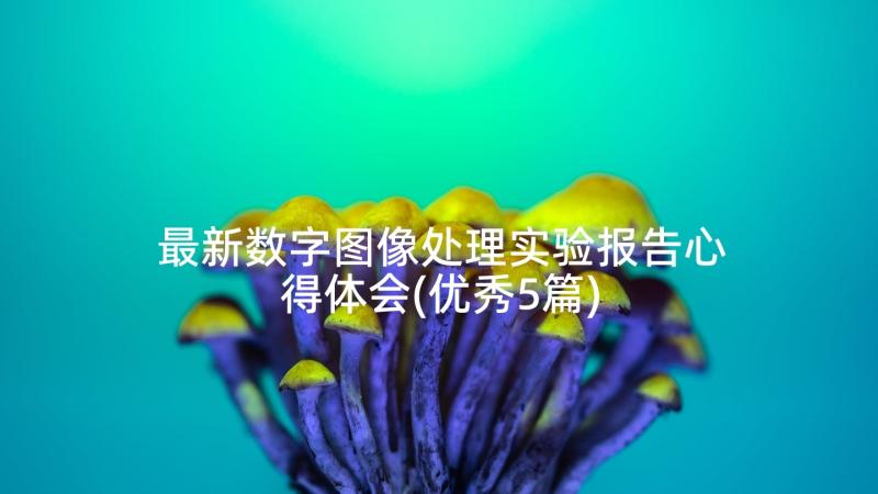 最新数字图像处理实验报告心得体会(优秀5篇)