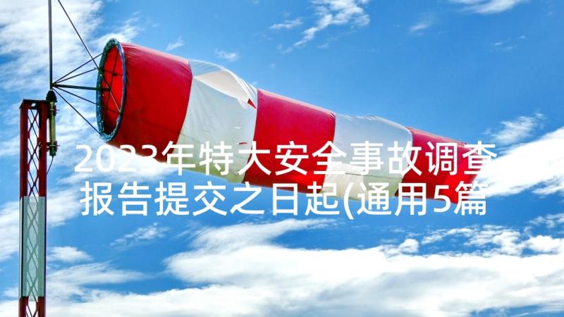 2023年特大安全事故调查报告提交之日起(通用5篇)