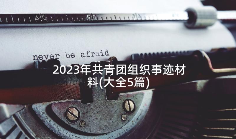 2023年共青团组织事迹材料(大全5篇)