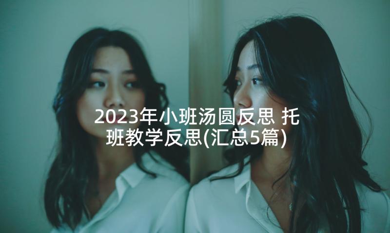 2023年小班汤圆反思 托班教学反思(汇总5篇)